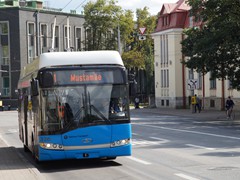 Solaris Trollino 12 sind vorwiegend unterwegs