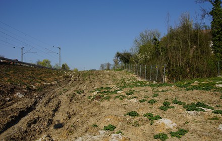 Durch den Durchgang hindurch und man stand mitten im Bahnbau Erwartungsland