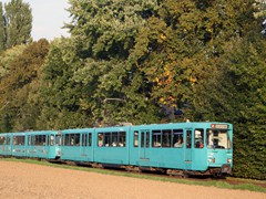 Einer von beiden schafft es ins Museum