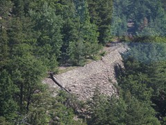 Ein Blick aus der Seilbahn die seit 1966 den Zahnrad Betrieb abgelöst hat, erlaubt einen Blick auf die ehm. Trasse.
