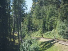 Sie ist rwcht kurvenreich