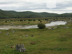 Schöne Natur im Nationalpark "Tierra del Fuego"
