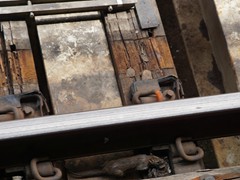 Auch hier,- possierliche Tierchen.