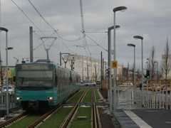 Ein U-4 Drilling am Riedberg