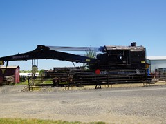 Das Monster im Profil....