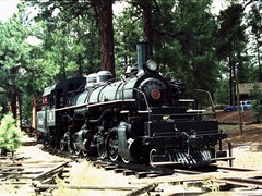 Eine unbekannte im Wald, abseits von Gleisen