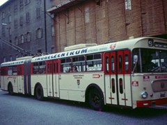 Gräf und Stift O-Bus?