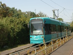 Am westlichen Zaun entlang