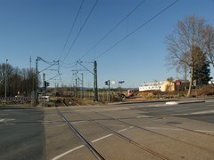 Die Rodungsarbeiten sind nun abgeschlossen.