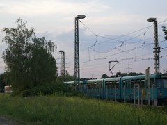 Der Drilling wartet nun darauf abgeholt zu werden.