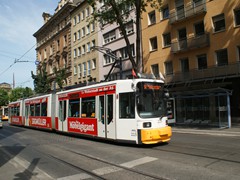 Wagen 215 ein GT6M-ZR