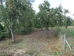 Bevor die Trasse vom Riedberg hinab nach Niederursel gebaut wurde war dort oben Streuobstwiese
