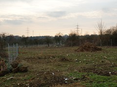 Erste Rodungen haben stattgefunden