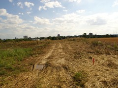 Blick vom Riedberg Richtung Niederursel. August 2008