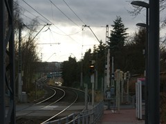 Kurz nach der Station Kalbach zweigt sie ab den Riedberg hinauf.
