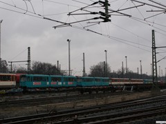 Im Osthafen wurden sie auf Güterwagen umgeladen