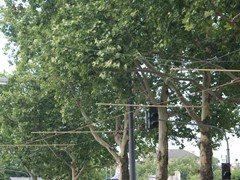 ...durch Querträger hergestellt.