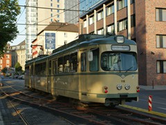 Geradeaus geht es zurück....