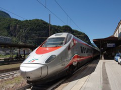 ...mit langer Schnauze.