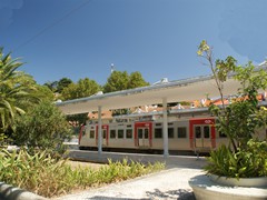 Sintra Palmen am Bahnsteig