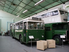 Busse sind auch dabei