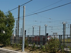 Portugiesischer Diesel