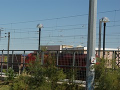 Portugiesischer Diesel