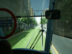 Rasengleis wie auf dem Golfplatz....