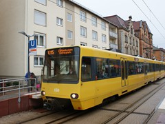 In der Regel als Zwilling unterwegs