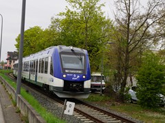 Dieser iLint kommt aus Königstein nach Höchst