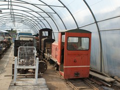 Dies zufällig in einer stillgelegten Gärtnerei entdeckt....