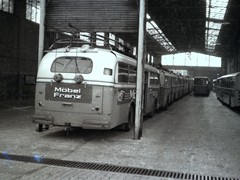 Einige Busse wurden nach Kaiserslautern verkauft