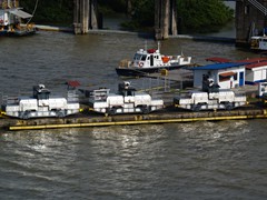 Die Mules stehen bereit