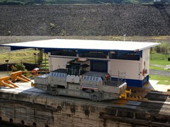 128 hat sich ein schattiges Plätzchen gesucht