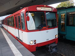 303 beschützt das Pärchen