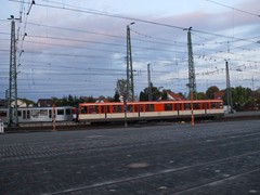 Jetzt ist er unterwegs Richtung Ginnheim