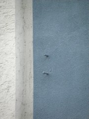 Reste einer Oberleitungsrosette