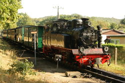 Rügensche Bäderbahn, Rasender Roland, BR 99